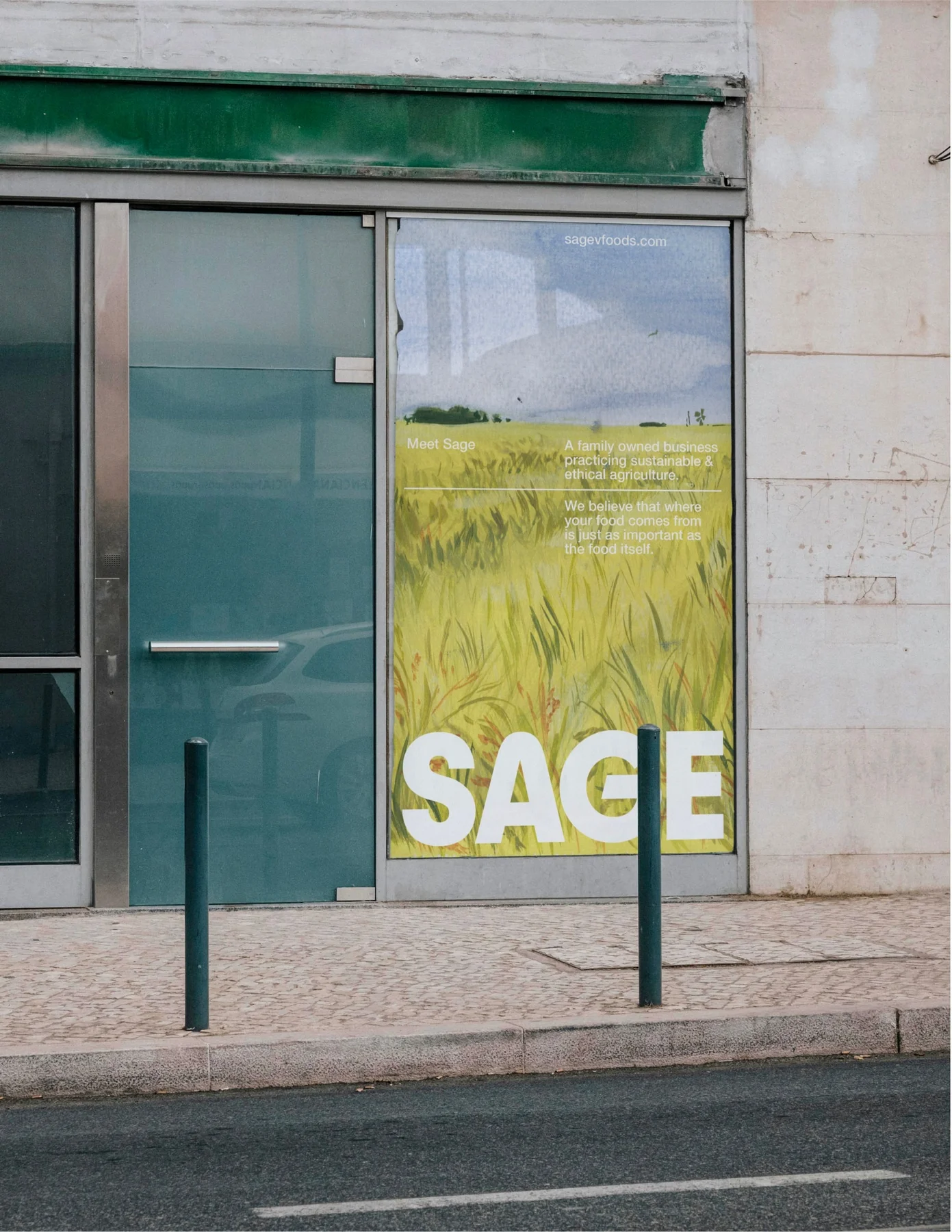 Sage illustrated field poster in a storefront window.