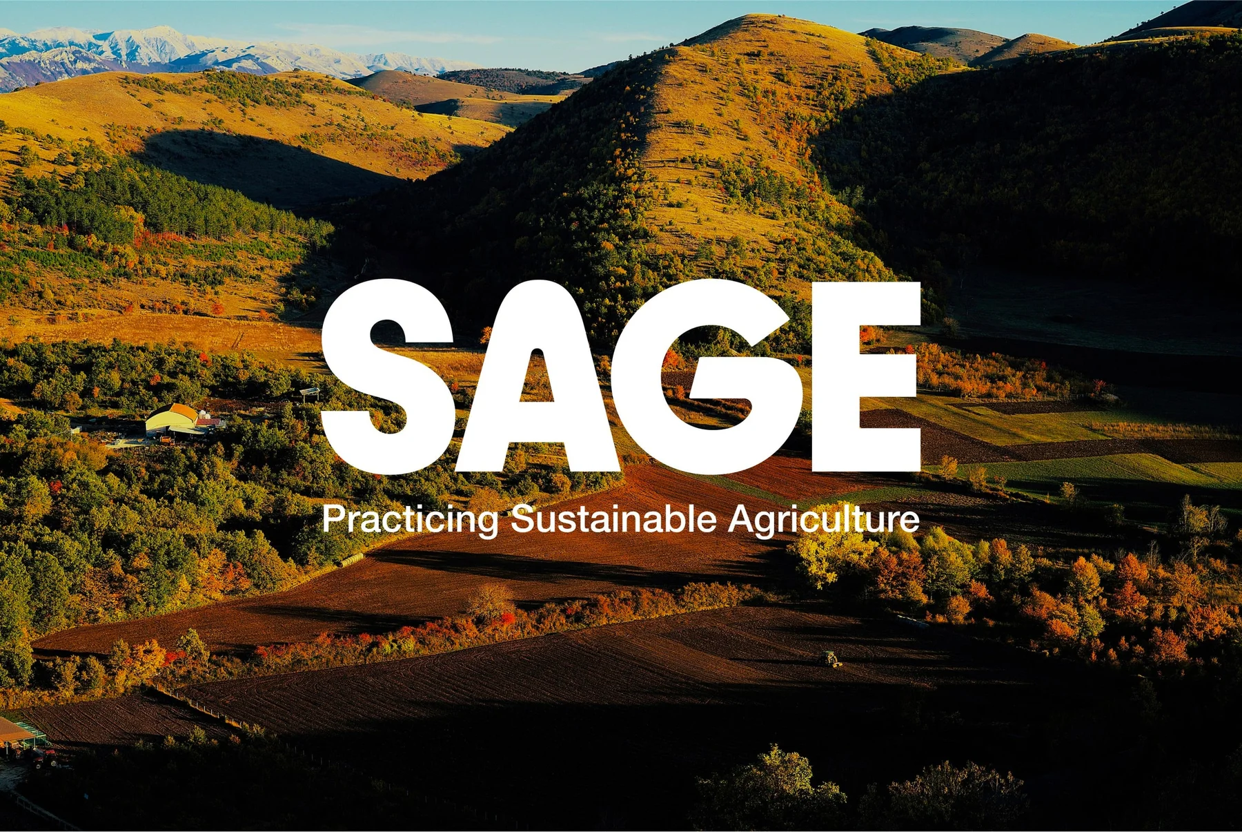 White Sage wordmark over a sunlit agricultural landscape.